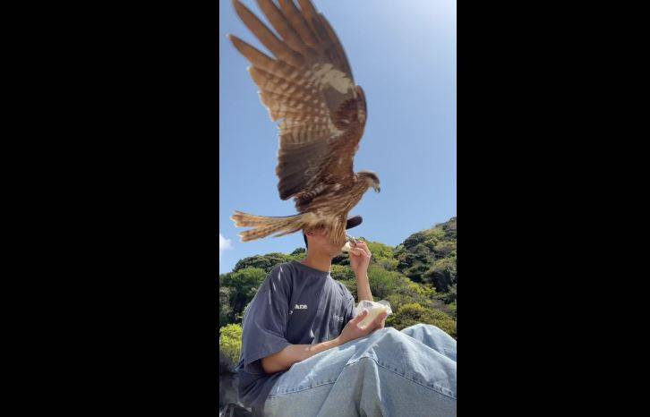 Japon gencin ağzına götürdüğü sandviçi pençesiyle çaldı! Fişek gibi geldi tek hamlede kaptı - Resim: 4